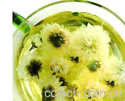 果蔬百科降火的食物-0