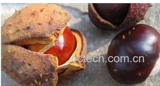 果蔬百科慢性胃炎吃什么食物好 -0