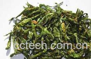 果蔬百科青辣椒咸菜-0