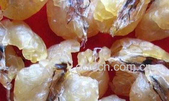 果蔬百科林蛙油-0