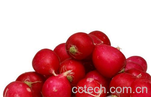 果蔬百科挑选红萝卜-0