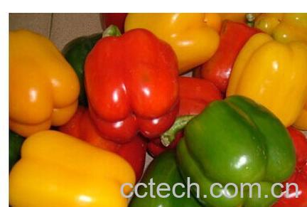 果蔬百科三道筋-0