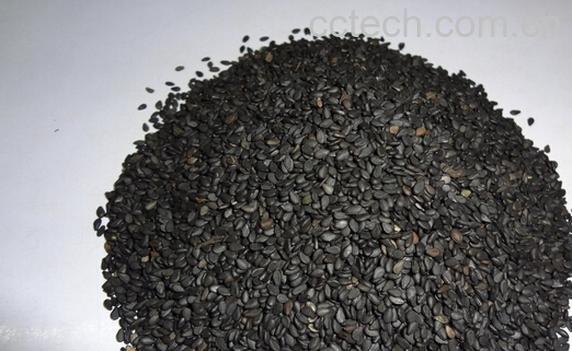 果蔬百科黑芝麻-0