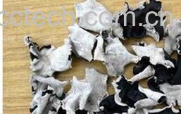 果蔬百科白背木耳-0