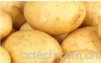 果蔬百科马铃薯-0