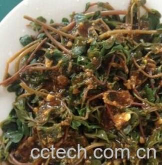 果蔬百科马蜂菜-0