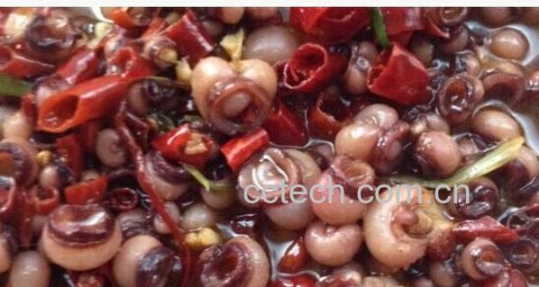 果蔬百科海灵菇-0