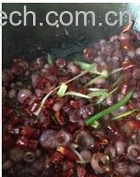 果蔬百科海灵菇-0