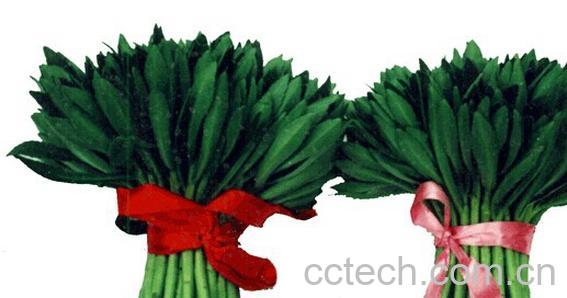 果蔬百科养心菜-0