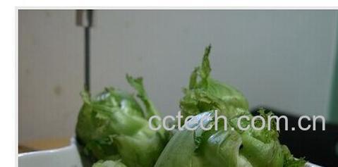 果蔬百科地儿菜-0