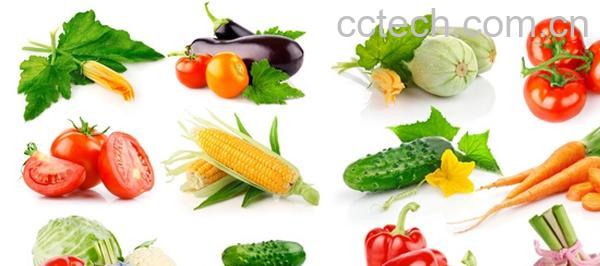 果蔬百科蔬菜-0