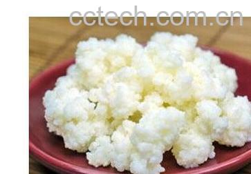 果蔬百科雪莲菌-0