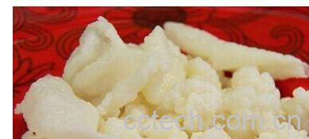 果蔬百科雪莲菌-0