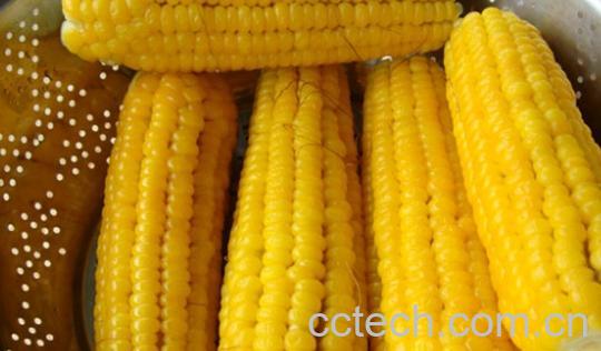 果蔬百科怎样保存鲜玉米-0