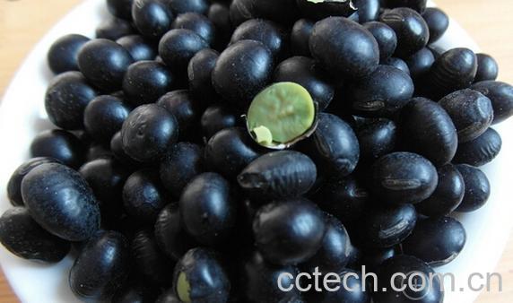 果蔬百科黑豆的种类-0