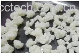 果蔬百科 藏灵菇-0