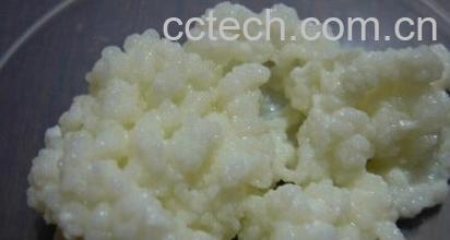 果蔬百科藏灵菇-0