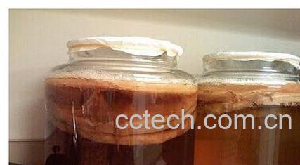 果蔬百科冬菇茶-0