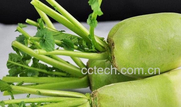 果蔬百科东北青萝卜的腌制方法-0