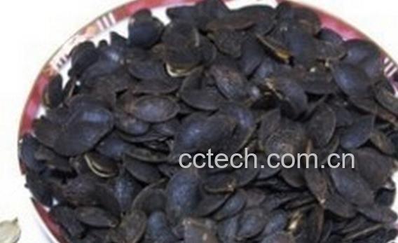 果蔬百科黑南瓜子粉-0