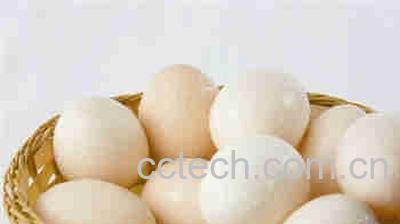 果蔬百科高蛋白-0