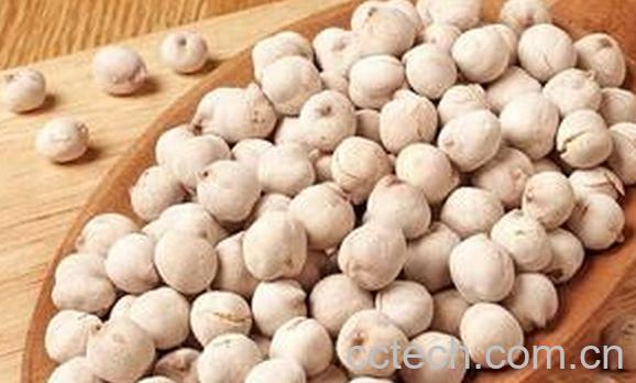 果蔬百科鹰嘴豆-0