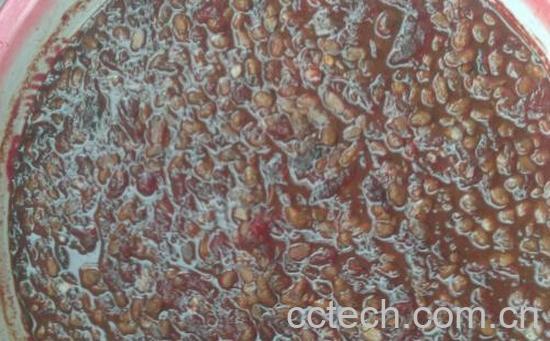 果蔬百科西瓜腌黄豆-0