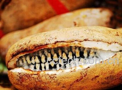 果蔬百科八瓜-0