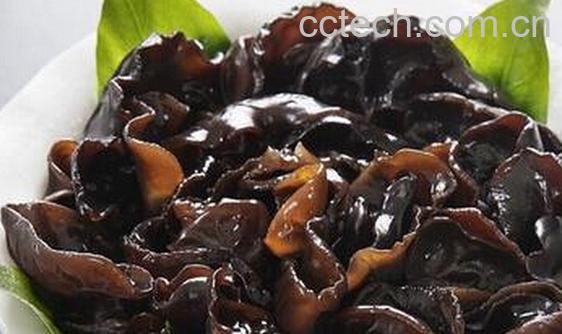 果蔬百科白煮黑木耳-0