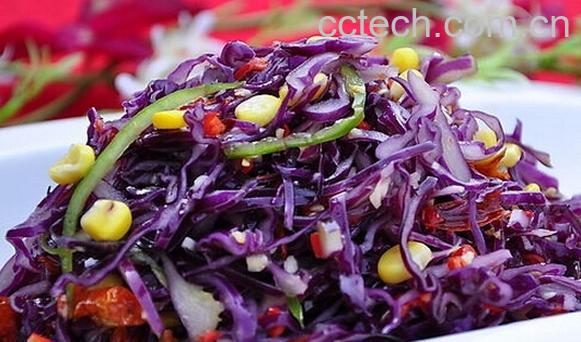 果蔬百科紫包菜-0