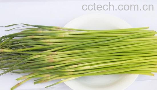 果蔬百科 蒜薹-0