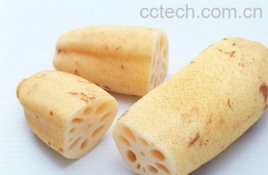 果蔬百科莲藕-0