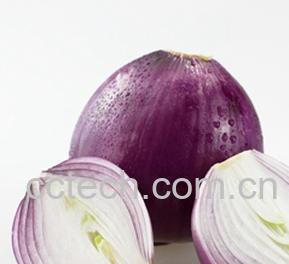 果蔬百科洋葱-0