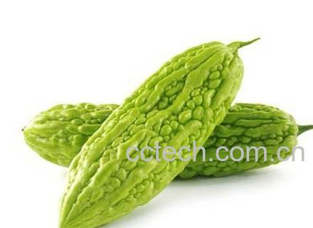 果蔬百科苦瓜-0