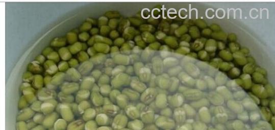 果蔬百科绿豆芽-0