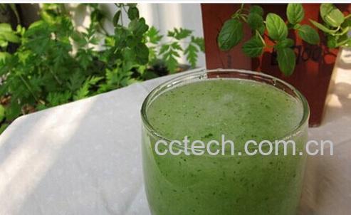 果蔬百科冬瓜汁-0