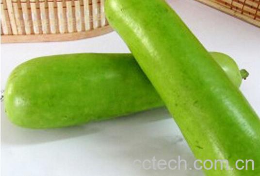 果蔬百科瓠瓜-0