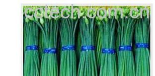 果蔬百科韭菜花-0