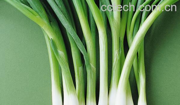 果蔬百科分葱-0