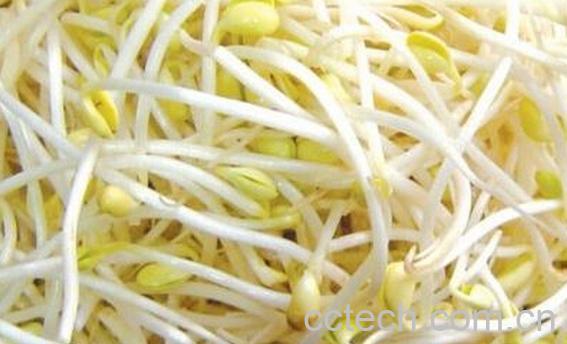 果蔬百科豆芽-0