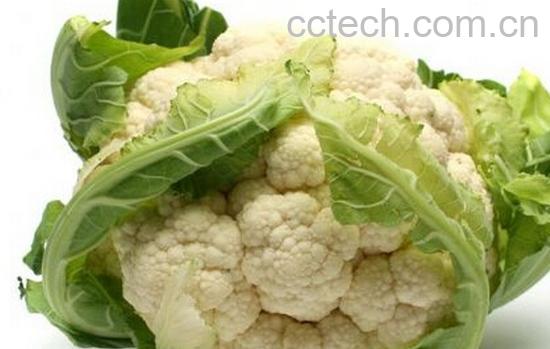 果蔬百科菜花-0