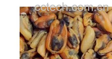 果蔬百科淡菜-0