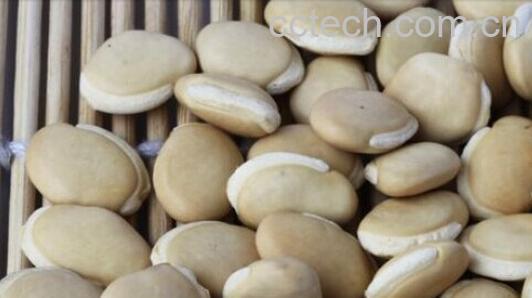 果蔬百科白及-0