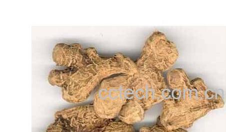 果蔬百科干姜-0