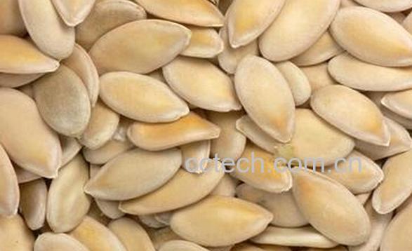 果蔬百科黄瓜籽-0