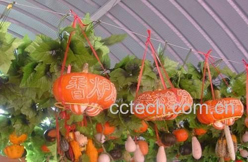 果蔬百科香炉瓜-0