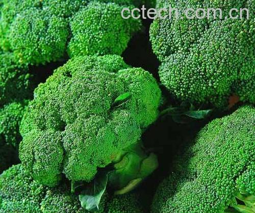 果蔬百科西兰花-0