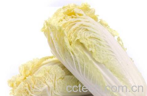 果蔬百科娃娃菜-0