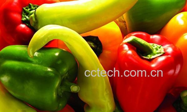 果蔬百科太空椒-0