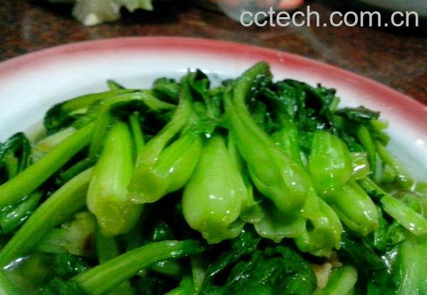 果蔬百科上海青-0